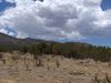 Hwy 344 photo